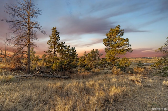 13500 Pine Dr, Parker, CO 80138
