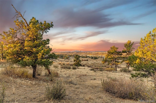 13500 Pine Dr, Parker, CO 80138