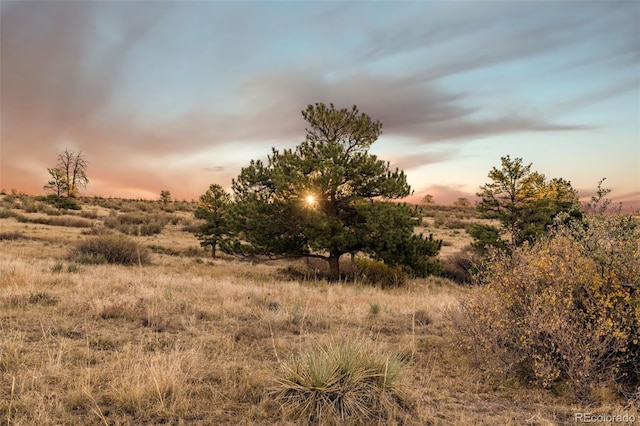 13500 Pine Dr, Parker, CO 80138