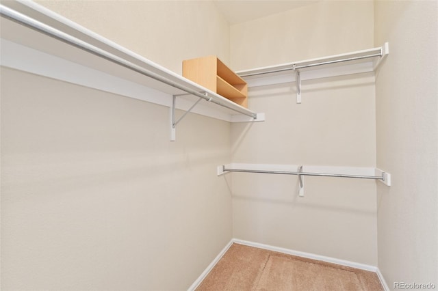 spacious closet with light colored carpet