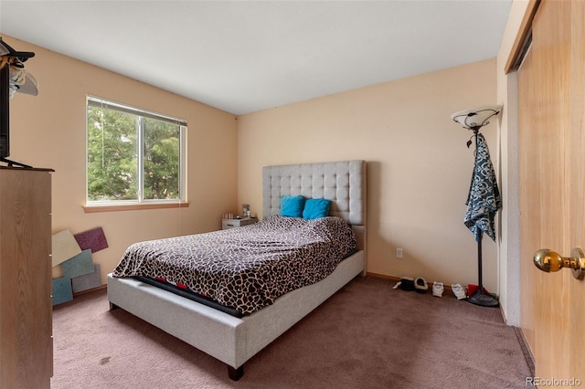 6291 Snowberry Ave, Firestone, CO 80504 - photo 16