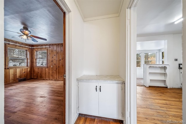 413 County Road 21, Woodland Park, CO 80863 - photo 7
