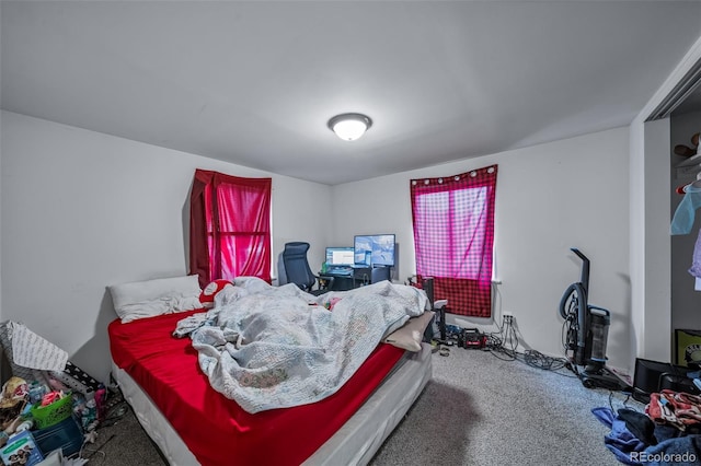 413 County Road 21, Woodland Park, CO 80863 - photo 36