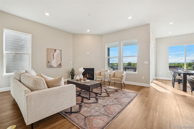 5930 S Platte Canyon Dr, Littleton, CO 80123 - living area with healthy amount of natural light, wood finished floors, recessed lighting, a glass covered fireplace, and baseboards