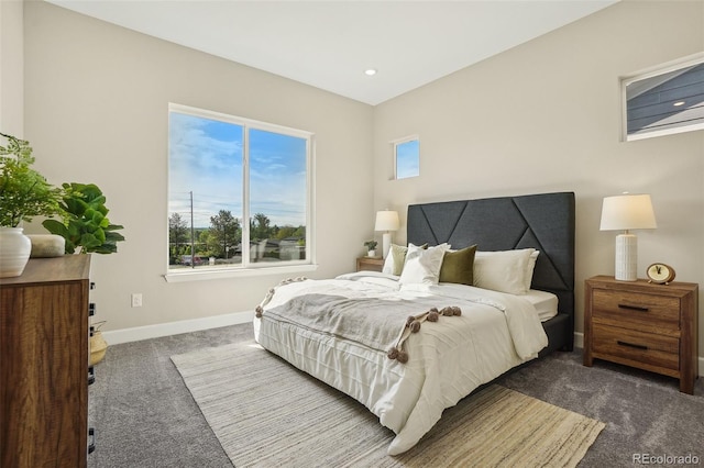 5930 S Platte Canyon Dr, Littleton, CO 80123 - bedroom with carpet, baseboards, and recessed lighting