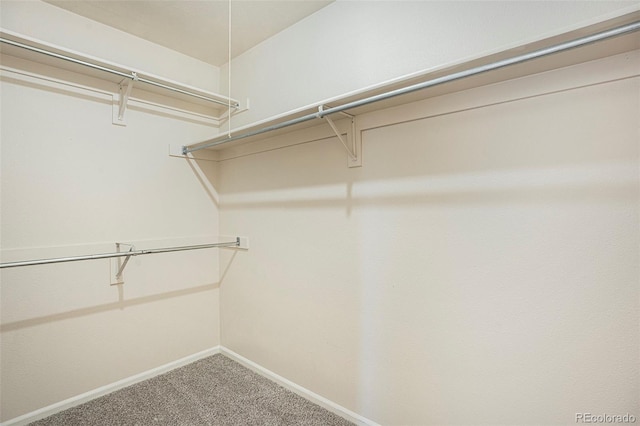 4585 Jet Wing Cir, Colorado Springs, CO 80916 - spacious closet featuring carpet