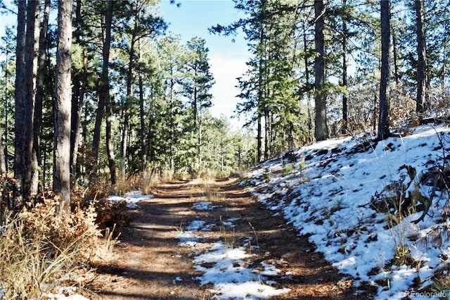 12778 Greenland Acres Rd, Larkspur, CO 80118 - photo 1