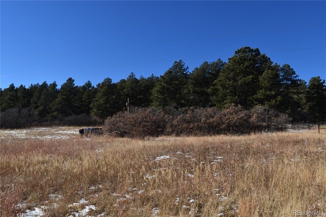 12778 Greenland Acres Rd, Larkspur, CO 80118 - photo 5