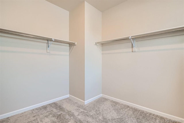 walk in closet with light carpet