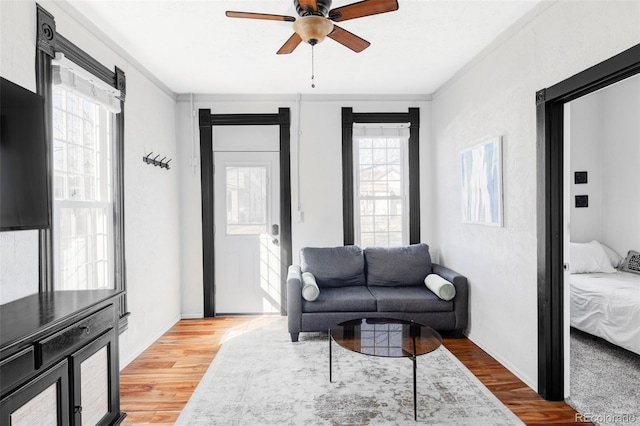 living area with a ceiling fan and light wood-type flooring