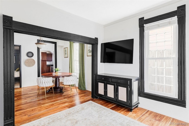 living area featuring a wealth of natural light and wood finished floors