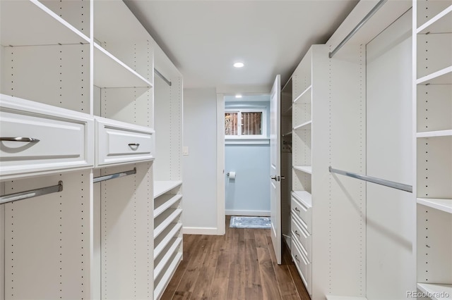 walk in closet with dark wood-style floors