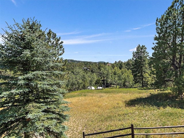 31518 Niakwa Rd, Evergreen, CO 80439 - view of yard featuring a view of trees