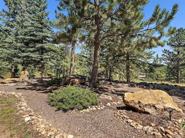 31518 Niakwa Rd, Evergreen, CO 80439 - view of yard