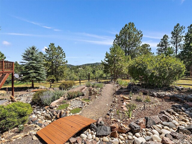 31518 Niakwa Rd, Evergreen, CO 80439 - view of yard