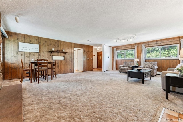 living area featuring carpet floors, wood walls, and a textured ceiling