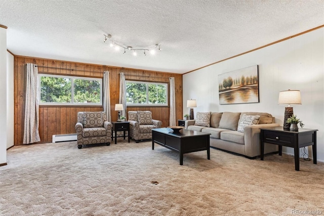 living area with wood walls, a healthy amount of sunlight, and a baseboard radiator