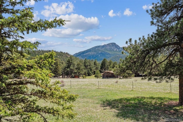 view of mountain feature with a view of trees and a rural view
