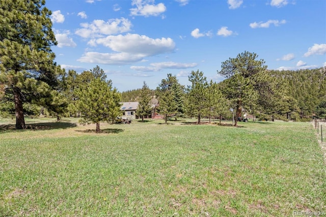 view of yard with a forest view