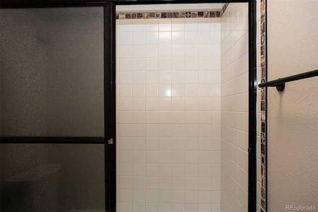 1153 Straight Creek Dr Unit F102, Dillon, CO 80435 - bathroom view of a shower with shower door and a textured wall