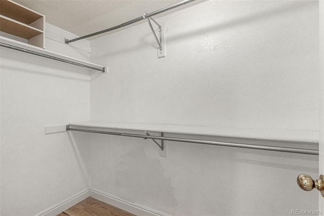 spacious closet featuring light wood-style flooring