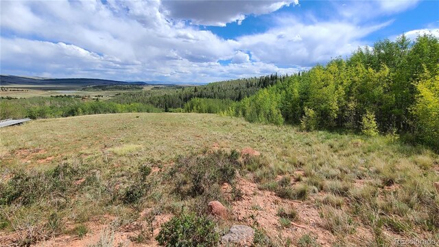 562 Palmer Peak Dr, Fairplay, CO 80440 - photo 1