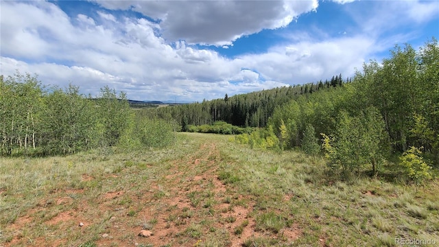 562 Palmer Peak Dr, Fairplay, CO 80440 - photo 2