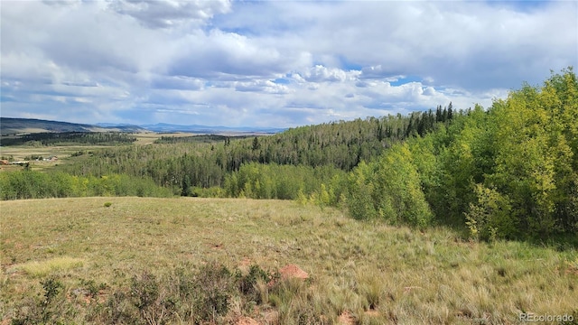 562 Palmer Peak Dr, Fairplay, CO 80440 - photo 3