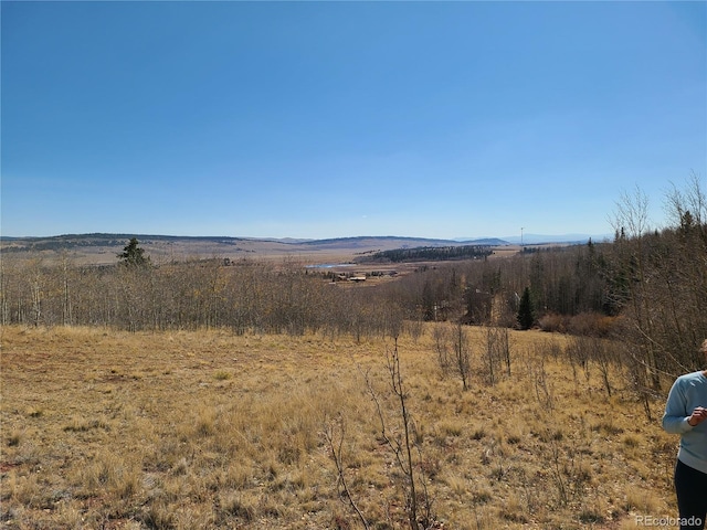 562 Palmer Peak Dr, Fairplay, CO 80440 - photo 4
