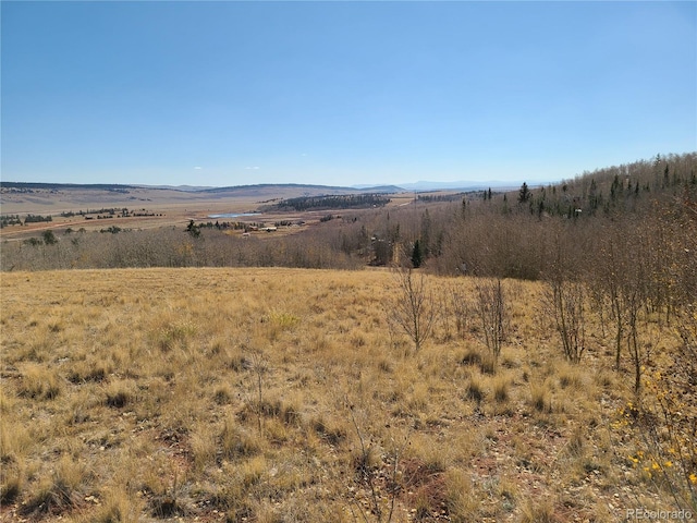 562 Palmer Peak Dr, Fairplay, CO 80440 - photo 6