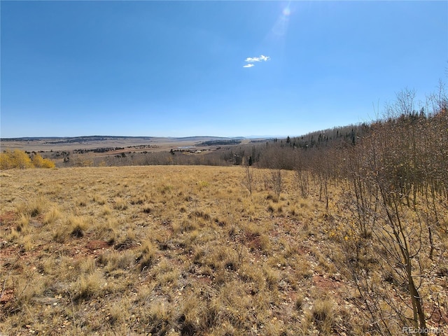 562 Palmer Peak Dr, Fairplay, CO 80440 - photo 7