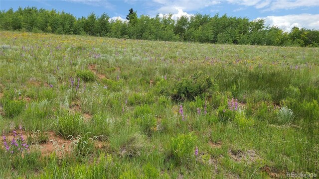 562 Palmer Peak Dr, Fairplay, CO 80440 - photo 8