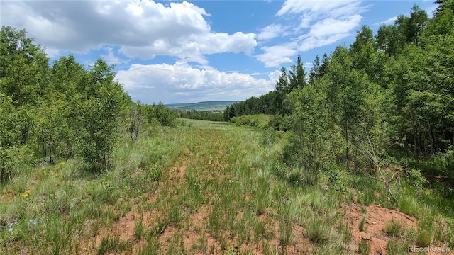 562 Palmer Peak Dr, Fairplay, CO 80440 - photo 9