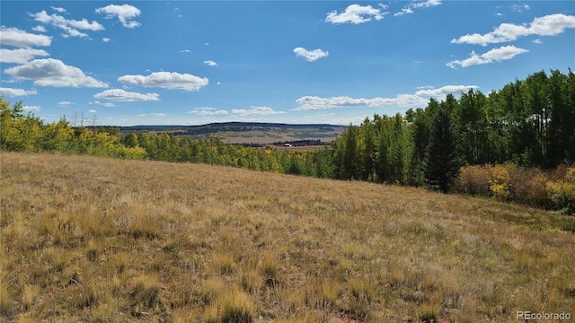 562 Palmer Peak Dr, Fairplay, CO 80440 - photo 13
