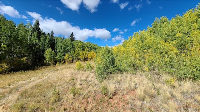 562 Palmer Peak Dr, Fairplay, CO 80440 - photo 14
