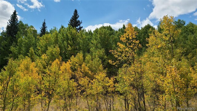 562 Palmer Peak Dr, Fairplay, CO 80440 - photo 15