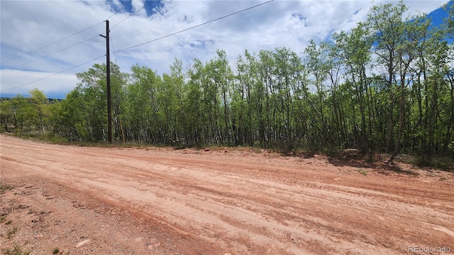 562 Palmer Peak Dr, Fairplay, CO 80440 - photo 19