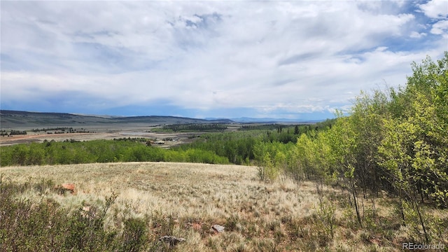 562 Palmer Peak Dr, Fairplay, CO 80440 - photo 20