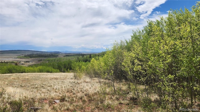 562 Palmer Peak Dr, Fairplay, CO 80440 - photo 21
