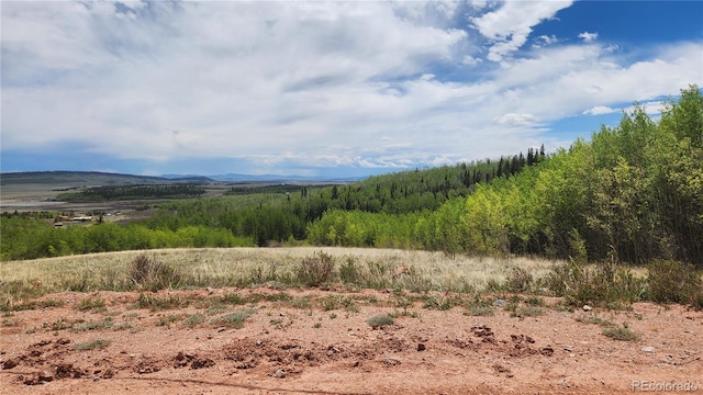 562 Palmer Peak Dr, Fairplay, CO 80440 - photo 22