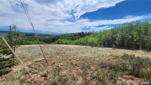 562 Palmer Peak Dr, Fairplay, CO 80440 - photo 23