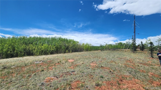 562 Palmer Peak Dr, Fairplay, CO 80440 - photo 24