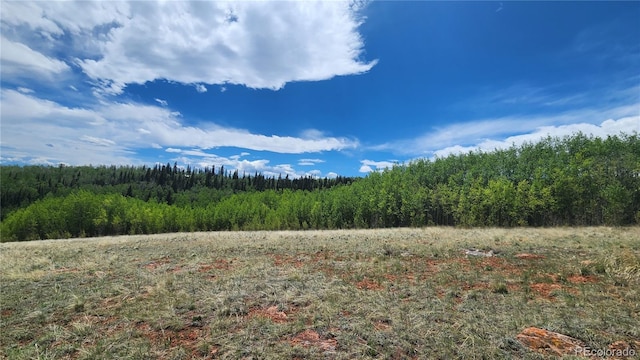 562 Palmer Peak Dr, Fairplay, CO 80440 - photo 25