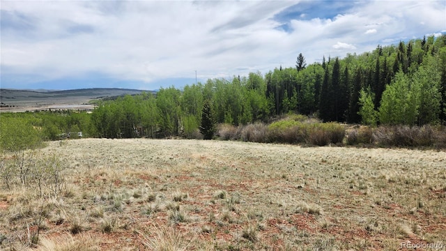 562 Palmer Peak Dr, Fairplay, CO 80440 - photo 28