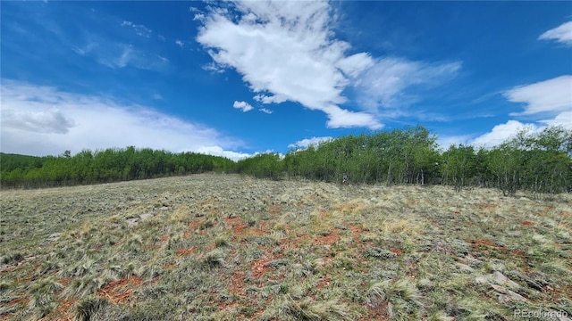 562 Palmer Peak Dr, Fairplay, CO 80440 - photo 29