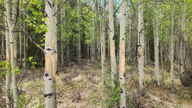 562 Palmer Peak Dr, Fairplay, CO 80440 - photo 32