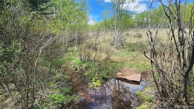 562 Palmer Peak Dr, Fairplay, CO 80440 - photo 37