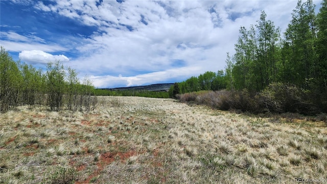 562 Palmer Peak Dr, Fairplay, CO 80440 - photo 38