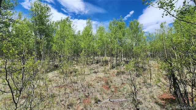 562 Palmer Peak Dr, Fairplay, CO 80440 - photo 41