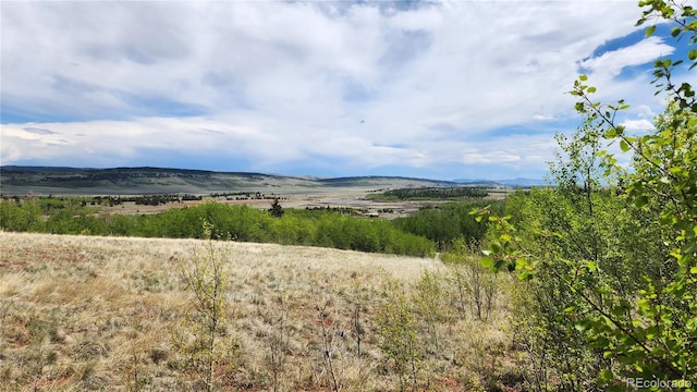 562 Palmer Peak Dr, Fairplay, CO 80440 - photo 46